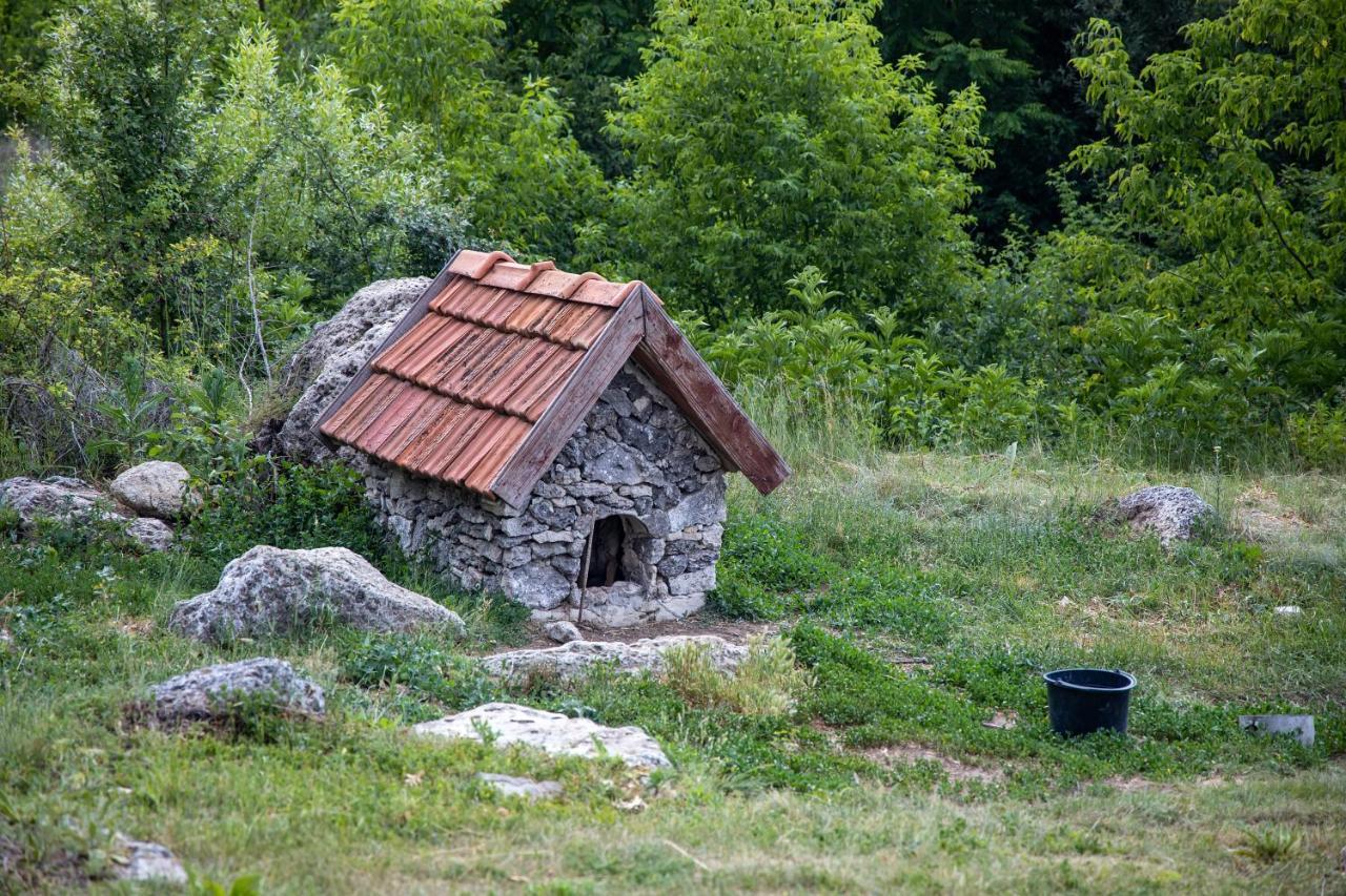 Casa Agricultorului Varzari Butuceny ภายนอก รูปภาพ