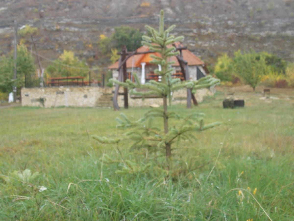 Casa Agricultorului Varzari Butuceny ภายนอก รูปภาพ